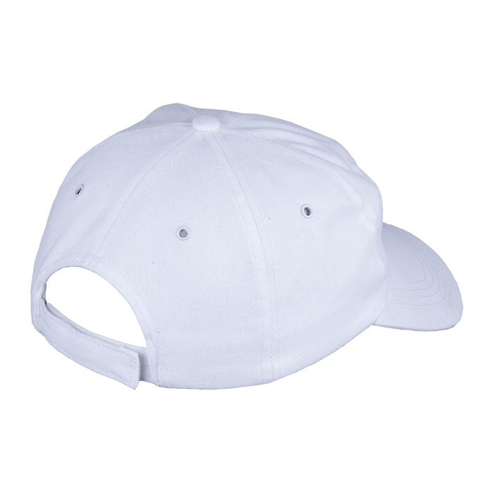 Barron 6 Panel Carbon Cap