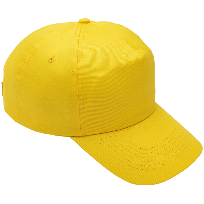 Barron 5 Panel Cotton with Hard Front Cap