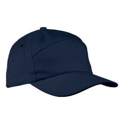 Barron 6 Panel Carbon Cap
