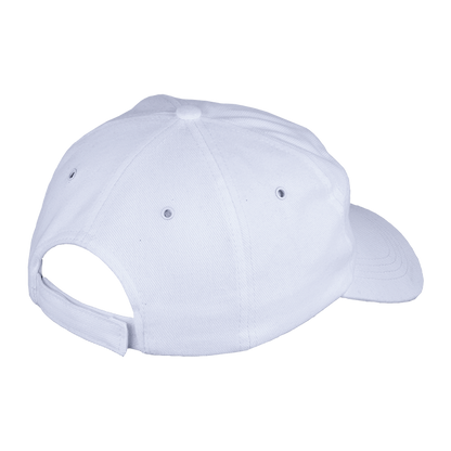 Barron 6 Panel Carbon Cap